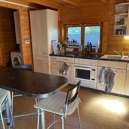 Ferienhaeuser An Den Orgelpfeifen Scheibenberg Exterior foto